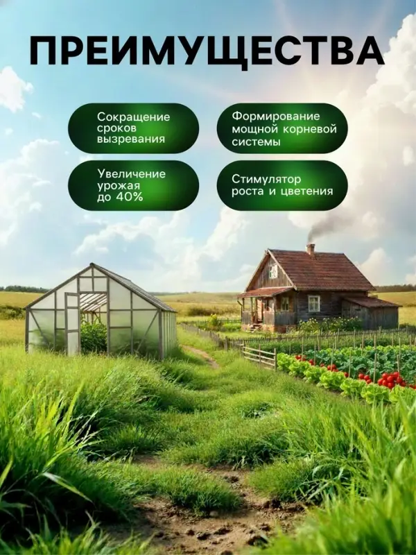 Органическое удобрение Greenlife &laquo;Домашний огород&raquo;, 500 мл