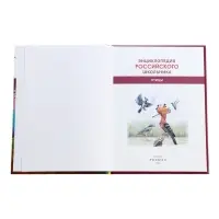 Энциклопедия российского школьника &laquo;Птицы&raquo;