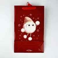 Пакет подарочный «Новогодний сюрприз», с заколками, 25,5 × 9 × 30 см Пакет подарочный «Новогодний сюрприз», с заколками, 25,5 × 9 × 30 см