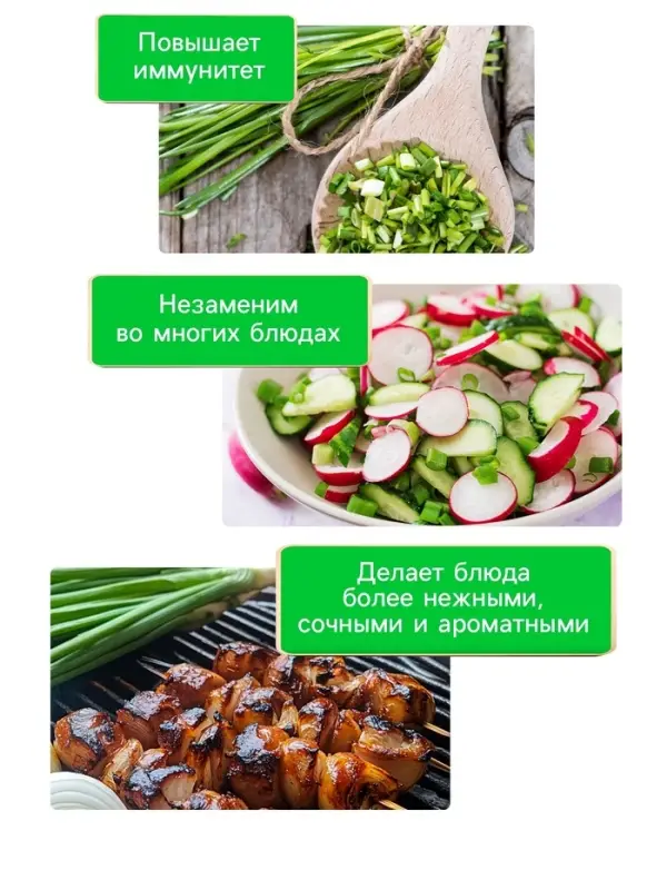 Семена Лук батун  Семена Лук батун "Апрельский", 0,5 г