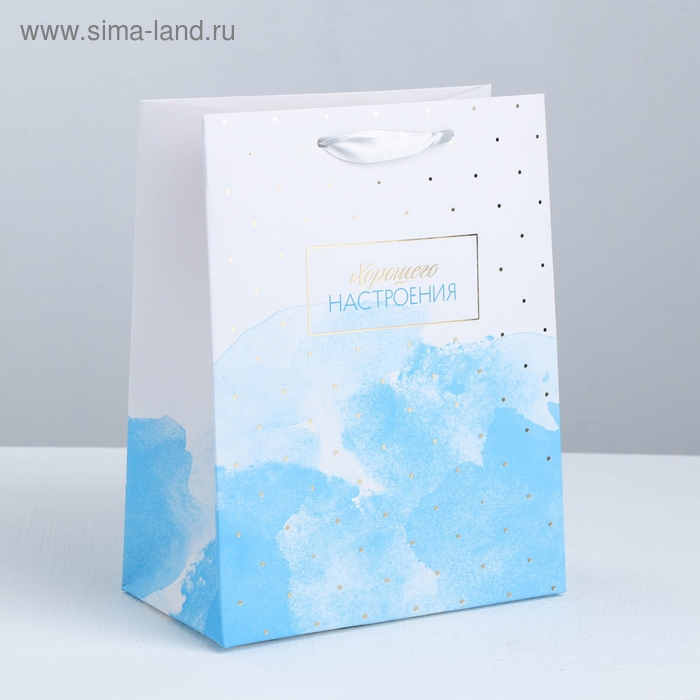 Пакет подарочный ламинированный вертикальный, упаковка, «Краски неба», MS 18 х 23 х 10 см