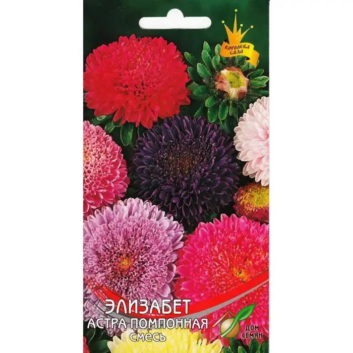 Семена цветов Астра помпонная  Семена цветов Астра помпонная "Элизабет" Дом семян, смесь, О,  100 шт