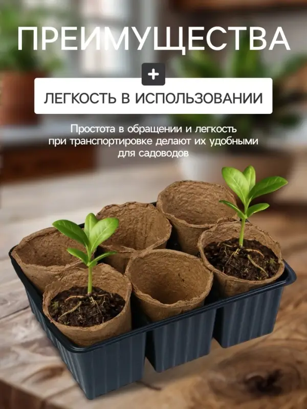 Набор для рассады: торфяной горшок 6×6 см, кассета на 6 ячеек, 17.5×13.5 см, Greengo