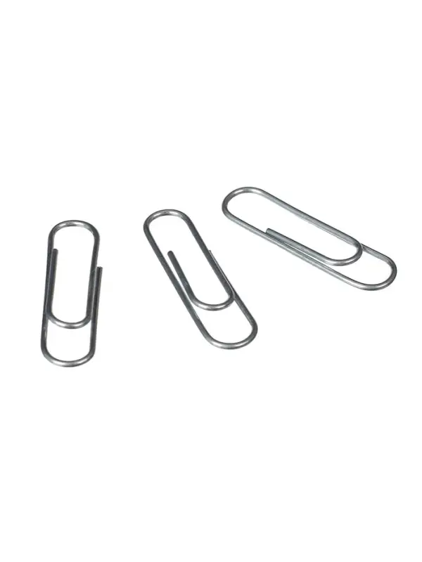 Скрепки канцелярские GLOBUS, 28 мм, 100 шт., без покрытия