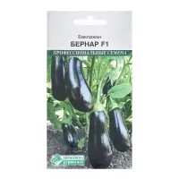 Семена Баклажан Бернар F1, 10 шт Семена Баклажан Бернар F1, 10 шт