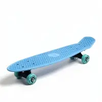 Пенниборд ONLYTOP, 56&times;15 см, колёса PVC 50 мм, пластиковая рама, голубой