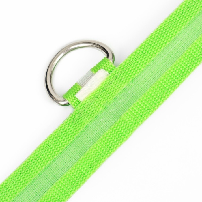 Ошейник с подсветкой размер М, ОШ 40-48 х 2,5 см, 3 режима свечения зелёный Ошейник с подсветкой размер М, ОШ 40-48 х 2,5 см, 3 режима свечения зелёный