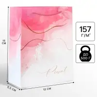 Пакет подарочный, 12х15х5.5 см, упаковка, Принцессы