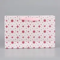 Пакет ламинированный &laquo;Подарок&raquo;, 22.3&times;9&times;35 см