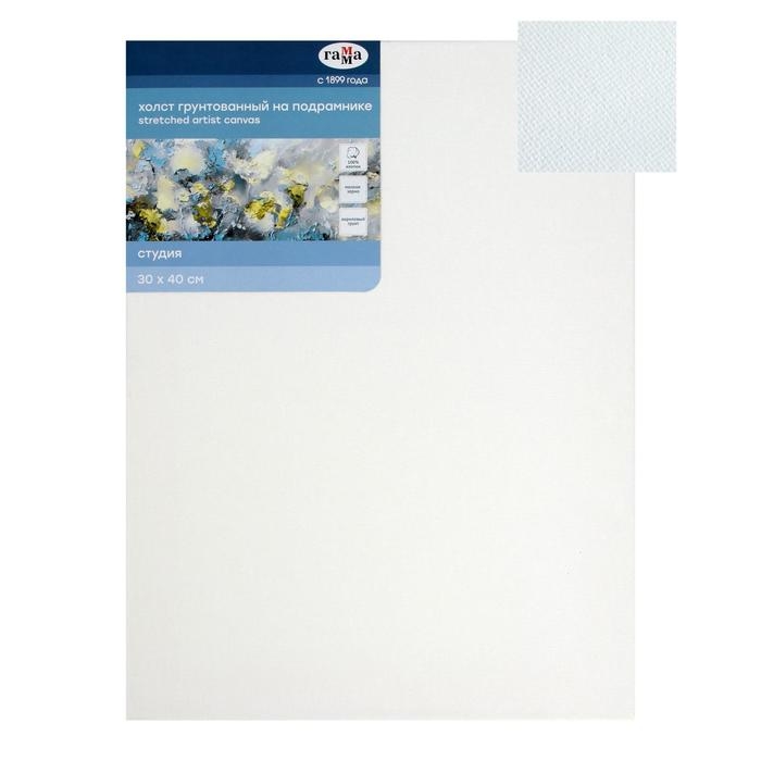 Холст на подрамнике, хлопок 100%, 30 х 40 х 1,8 см, акриловый грунт, мелкозернистый, 280 г/м2, Холст на подрамнике, хлопок 100%, 30 х 40 х 1,8 см, акриловый грунт, мелкозернистый, 280 г/м2, "Студия"