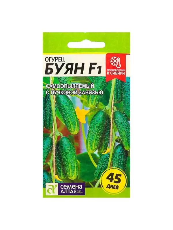 Семена огурца &laquo;Буян&raquo;, 5 шт., &laquo;Семена Алтая&raquo;