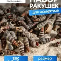 Набор ракушек Батиллярия, 100 г