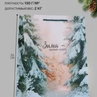 Пакет подарочный &laquo;Зима - время чудес&raquo;, 26&times;12&times;32 см