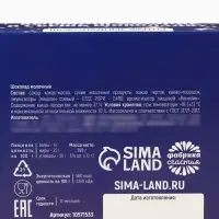 Шоколад новогодний «Фанты», в шоубоксе, 12 г х 24 шт Шоколад новогодний «Фанты», в шоубоксе, 12 г х 24 шт