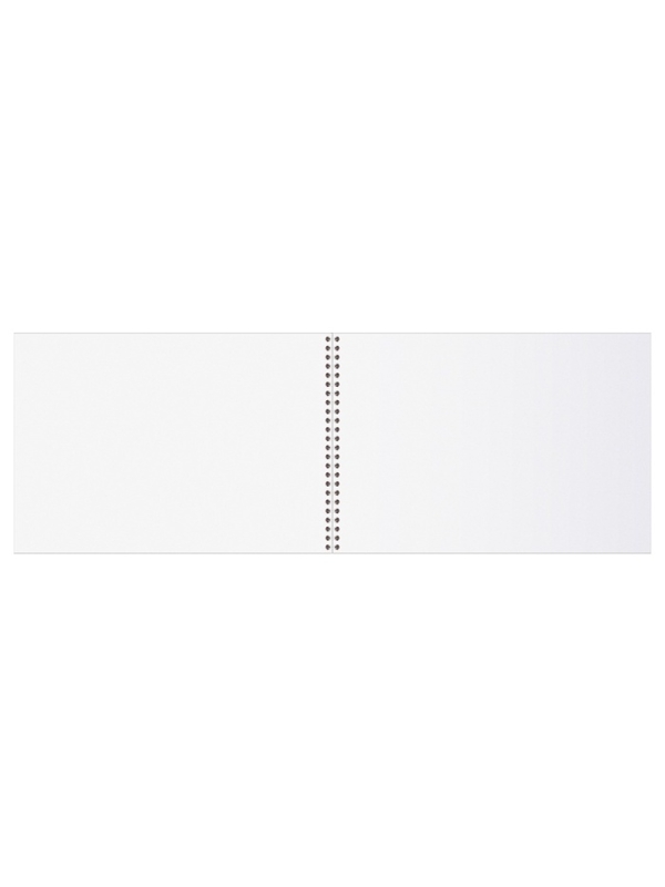 Альбом для рисования А4, 40 листов на гребне &laquo;Ван Кот&raquo;, блок офсет 100 г/м&sup2;, МИКС