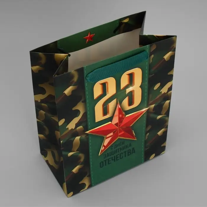 Пакет подарочный ламинированный, упаковка, &laquo;С 23 февраля&raquo;, MS 18&times;23&times;10 см
