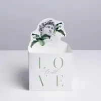 Коробки для мини букетов &laquo;DAVID&raquo;, 12 &times; 20 &times; 10 см