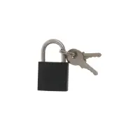 Замок навесной ТУНДРА OneKey001, 25 мм, с одной секретностью, 2 ключа
