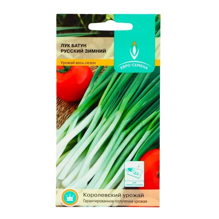 Семена Лук Семена Лук "Русский" зимний батун, 1 г