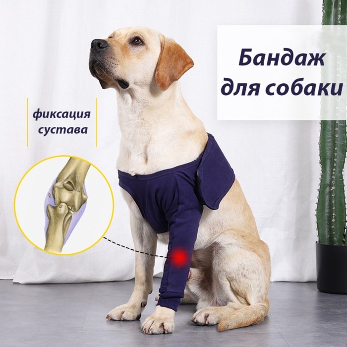 Бандаж на лапу послеоперационный, хлопок+спандекс, размер S (ОГ 40-52, длина 17 см), синий Бандаж на лапу послеоперационный, хлопок+спандекс, размер S (ОГ 40-52, длина 17 см), синий