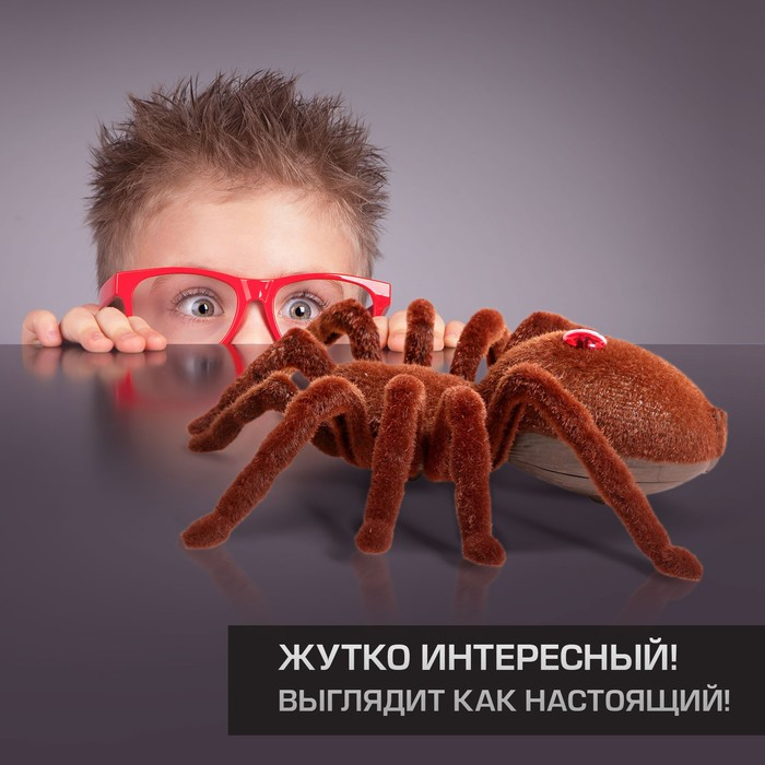 Паук радиоуправляемый «Тарантул», работает от батареек, световые эффекты Паук радиоуправляемый «Тарантул», работает от батареек, световые эффекты