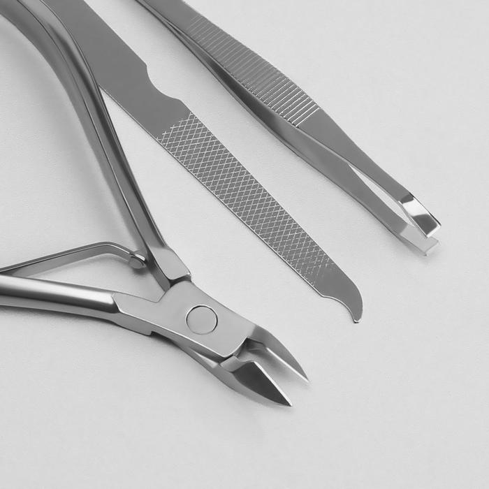 Набор маникюрный, 5 предметов, в футляре, цвет коричневый Набор маникюрный, 5 предметов, в футляре, цвет коричневый