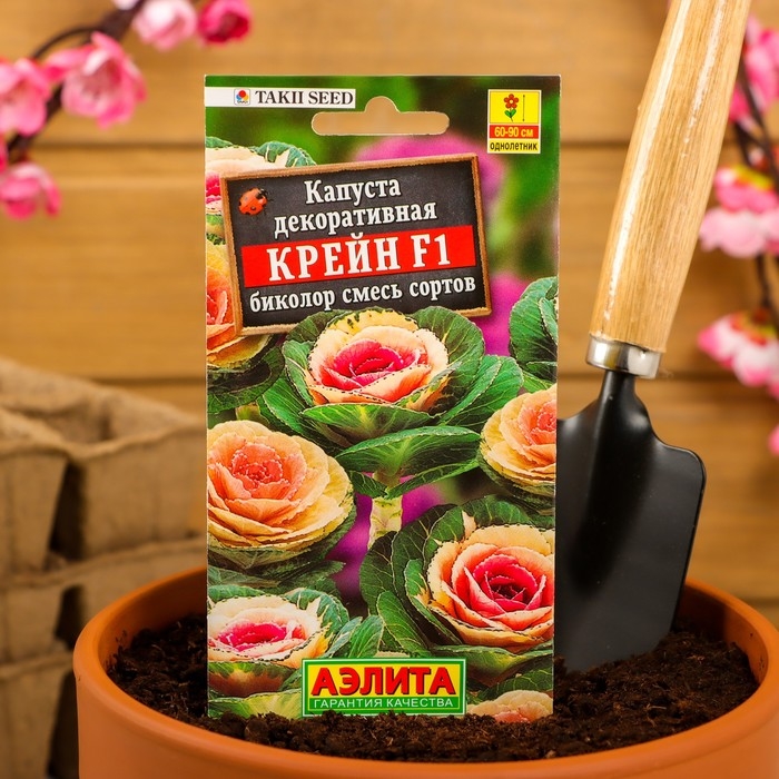 Семена цветов Капуста декоративная  Семена цветов Капуста декоративная "Крейн биколор F1", смесь окрасок, О, 7 шт