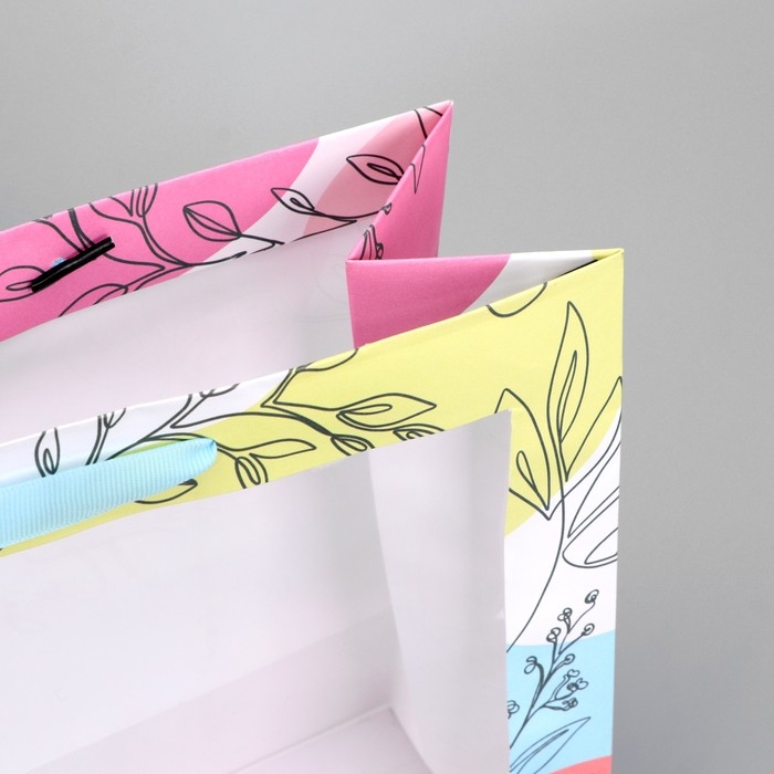 Пакет подарочный крафтовый с пластиковым окном, упаковка, «Поздравляю», 31 х 26 х 10 см Пакет подарочный крафтовый с пластиковым окном, упаковка, «Поздравляю», 31 х 26 х 10 см