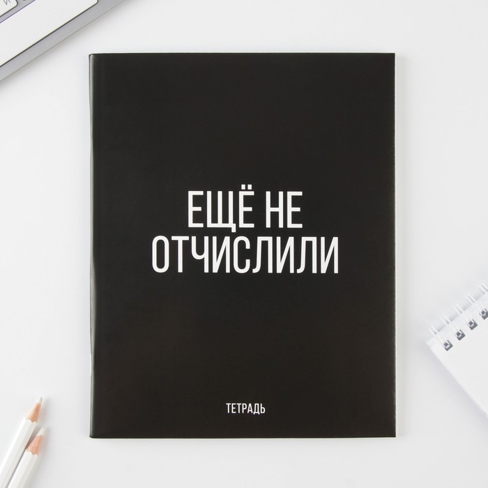 Тетрадь в клетку, 48 листов А5 на скрепке МИКС, «1 сентября: Шрифтовые черные», обложка мелованный картон 230 грблок №1  белизна 96% Тетрадь в клетку, 48 листов А5 на скрепке МИКС, «1 сентября: Шрифтовые черные», обложка мелованный картон 230 грблок №1  белизна 96%