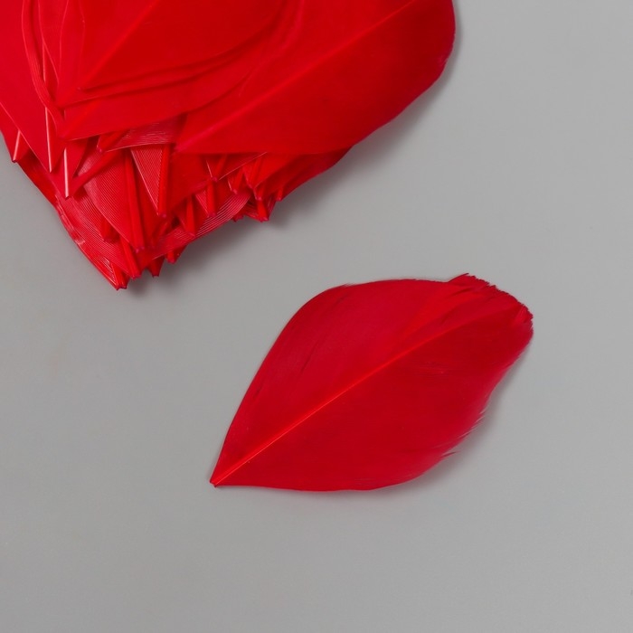 Перо декоративное гусиное "Алое" в форме листа набор 40 шт h=5-7 см