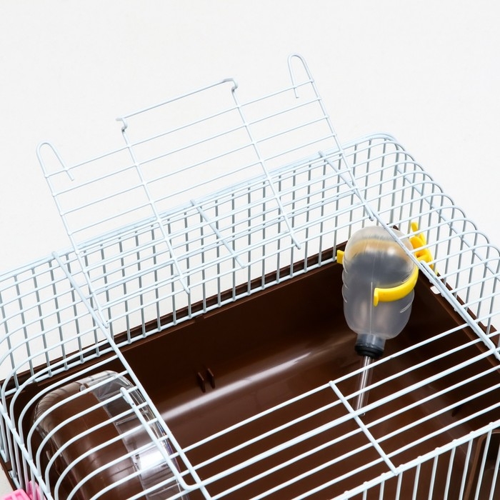 Клетка для грызунов Клетка для грызунов "Пижон", 27 х 21 х 17 см, коричневая