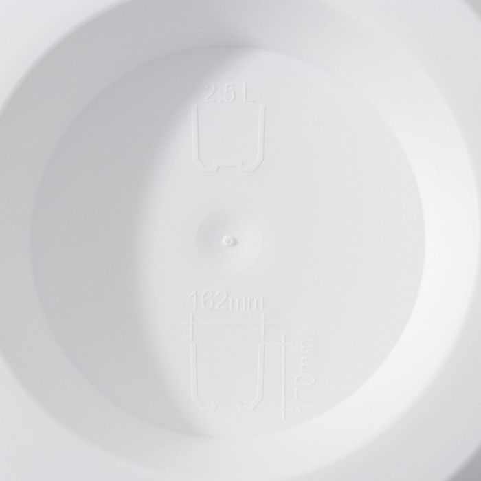 Кашпо для цветов со вставкой Leaves, 2,5 л, d=16,2 см, h=17 см, цвет белый/антрацит Кашпо для цветов со вставкой Leaves, 2,5 л, d=16,2 см, h=17 см, цвет белый/антрацит