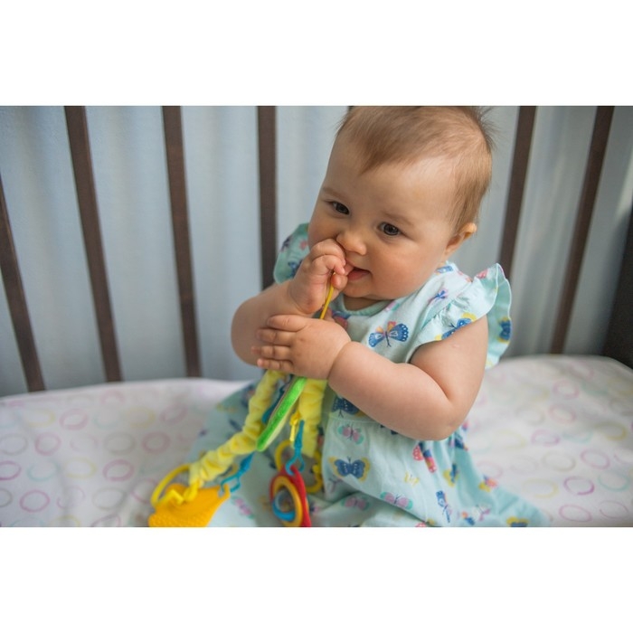 Растяжка - погремушка мягкая на кроватку/коляску «Авокадо», Крошка Я Растяжка - погремушка мягкая на кроватку/коляску «Авокадо», Крошка Я