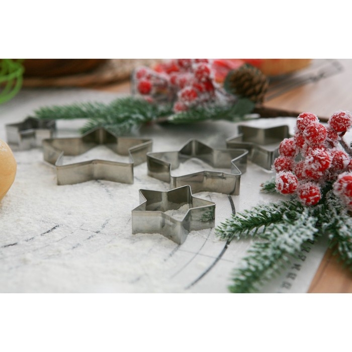 Набор форм для печенья новогодний Доляна «Звёздочка», 5 шт, цвет серебристый Набор форм для печенья новогодний Доляна «Звёздочка», 5 шт, цвет серебристый