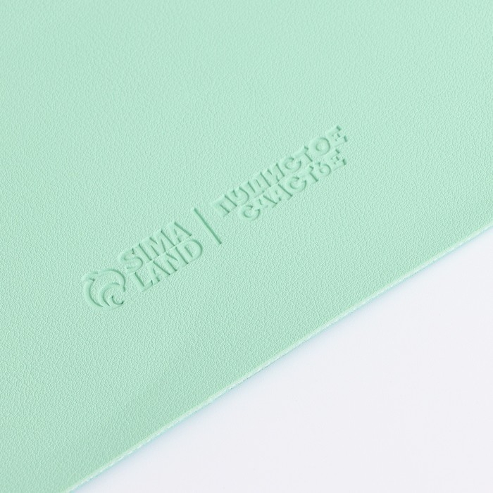 Коврик под миску форменный «Лапка», 39 х 30 см, мятный Коврик под миску форменный «Лапка», 39 х 30 см, мятный