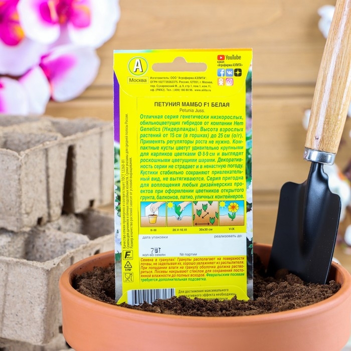 Семена  Петуния  Семена  Петуния "Мамбо" F1 белая многоцветковая, 7 шт