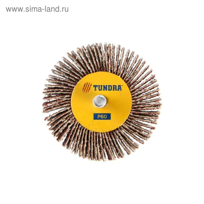 Круг лепестковый радиальный ТУНДРА, 60 х 20 х 6 мм, Р60 Круг лепестковый радиальный ТУНДРА, 60 х 20 х 6 мм, Р60