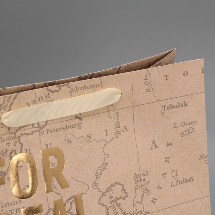 Пакет подарочный крафтовый квадратный, упаковка, «Весь мир твой», 30 х 30 х 12 см Пакет подарочный крафтовый квадратный, упаковка, «Весь мир твой», 30 х 30 х 12 см