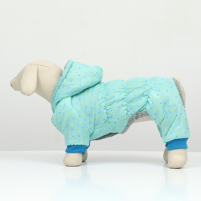 Комбинезон  Комбинезон "нежный путь" на меховом подкладе, размер L  (ДС 35, ОШ 35, ОГ 45 см), голубой