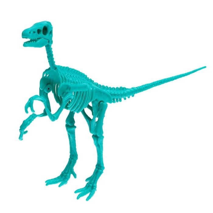 Набор для опытов «Древний мир» Набор для опытов «Древний мир»