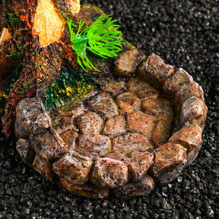 Кормушка для террариума, 17,5 х 11,5 х 8,5 см Кормушка для террариума, 17,5 х 11,5 х 8,5 см