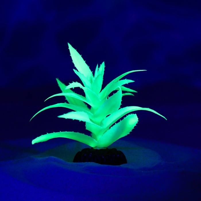 Растение искусственное аквариумное, светящееся, 10 см, зелёное Растение искусственное аквариумное, светящееся, 10 см, зелёное