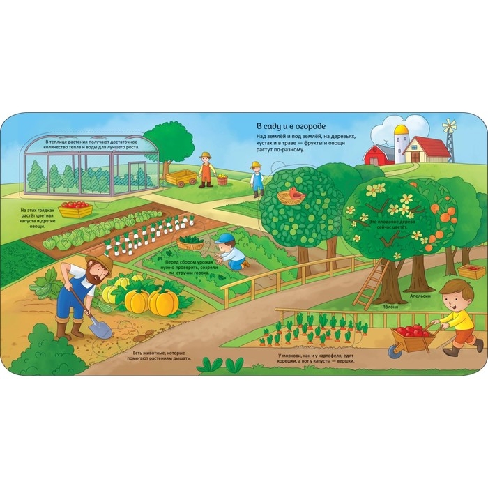 Энциклопедия с окошками «В деревне» Энциклопедия с окошками «В деревне»