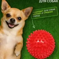 Игрушка &laquo;Мяч массажный&raquo;, пластикат, микс цветов, 7.5 см