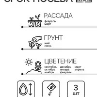 Семена комнатных цветов Цикламен &laquo;Аполлон&raquo;, 3 шт., &laquo;Семена Алтая&raquo;