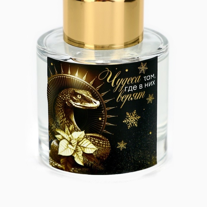 Новый год! Диффузор ароматический палочки «Новогодняя коллекцияЧудеса там, где в них верят», аромат чёрный лёд 50 мл. Новый год! Диффузор ароматический палочки «Новогодняя коллекцияЧудеса там, где в них верят», аромат чёрный лёд 50 мл.