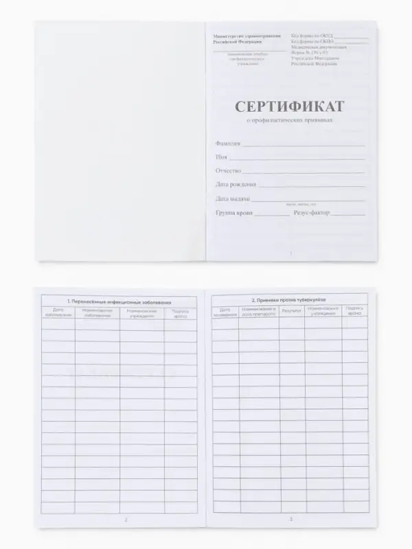 Сертификат о профилактических прививках А6, зайка, 24 страницы