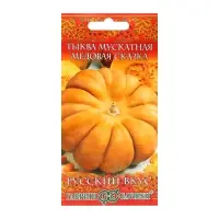 Семена Тыква "Медовая сказка", мускатная 5 шт. Семена Тыква "Медовая сказка", мускатная 5 шт.