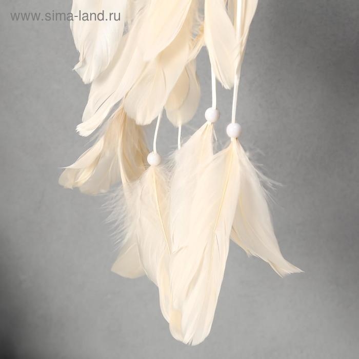 Ловец снов Ловец снов "Бабочки" МИКС 40х11 см