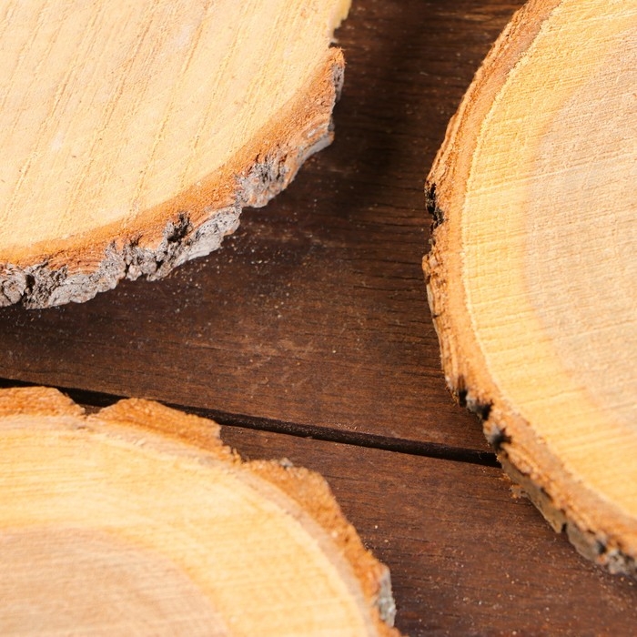 Набор спилов дуба 3шт  11х12х1см